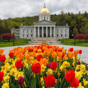 1 Raffle Ticket: Montpelier Package